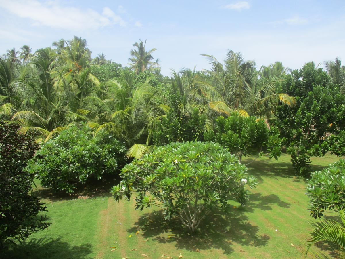 Raja Beach Hotel Balapitiya Exterior foto